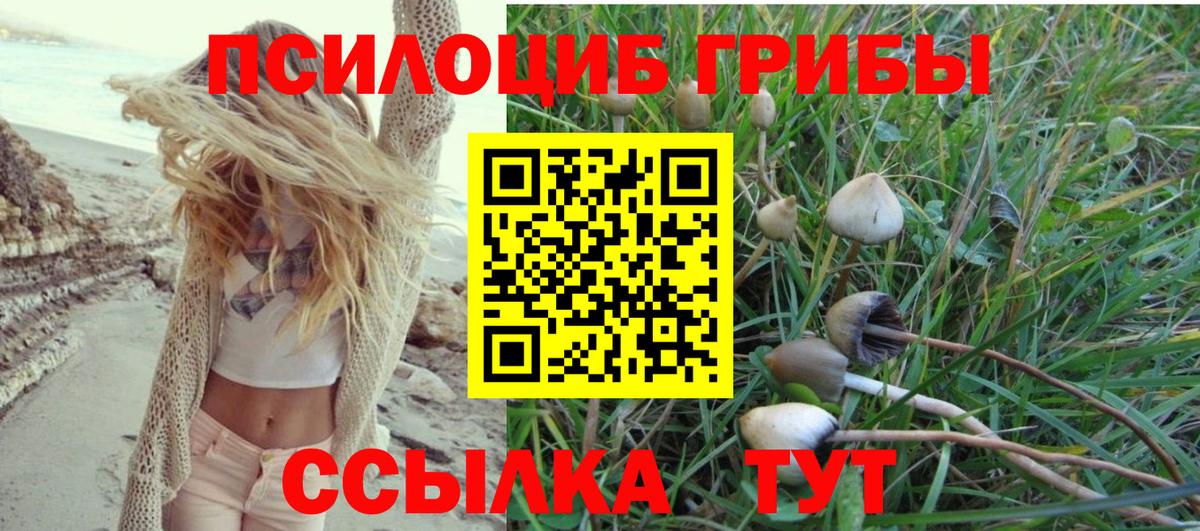 Галлюциногенные грибы Cubensis Ижевск