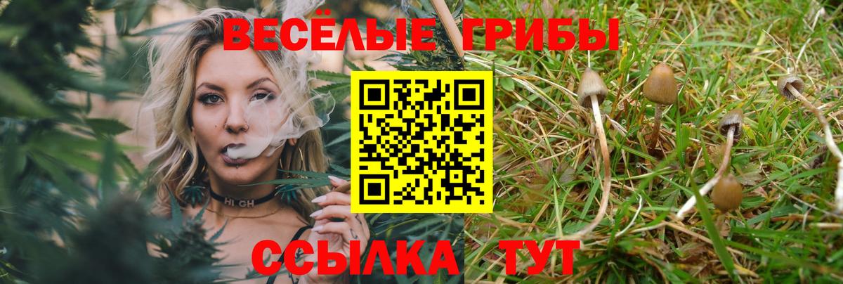 Псилоцибиновые грибы GOLDEN TEACHER  Вход с VPN  Ижевск 